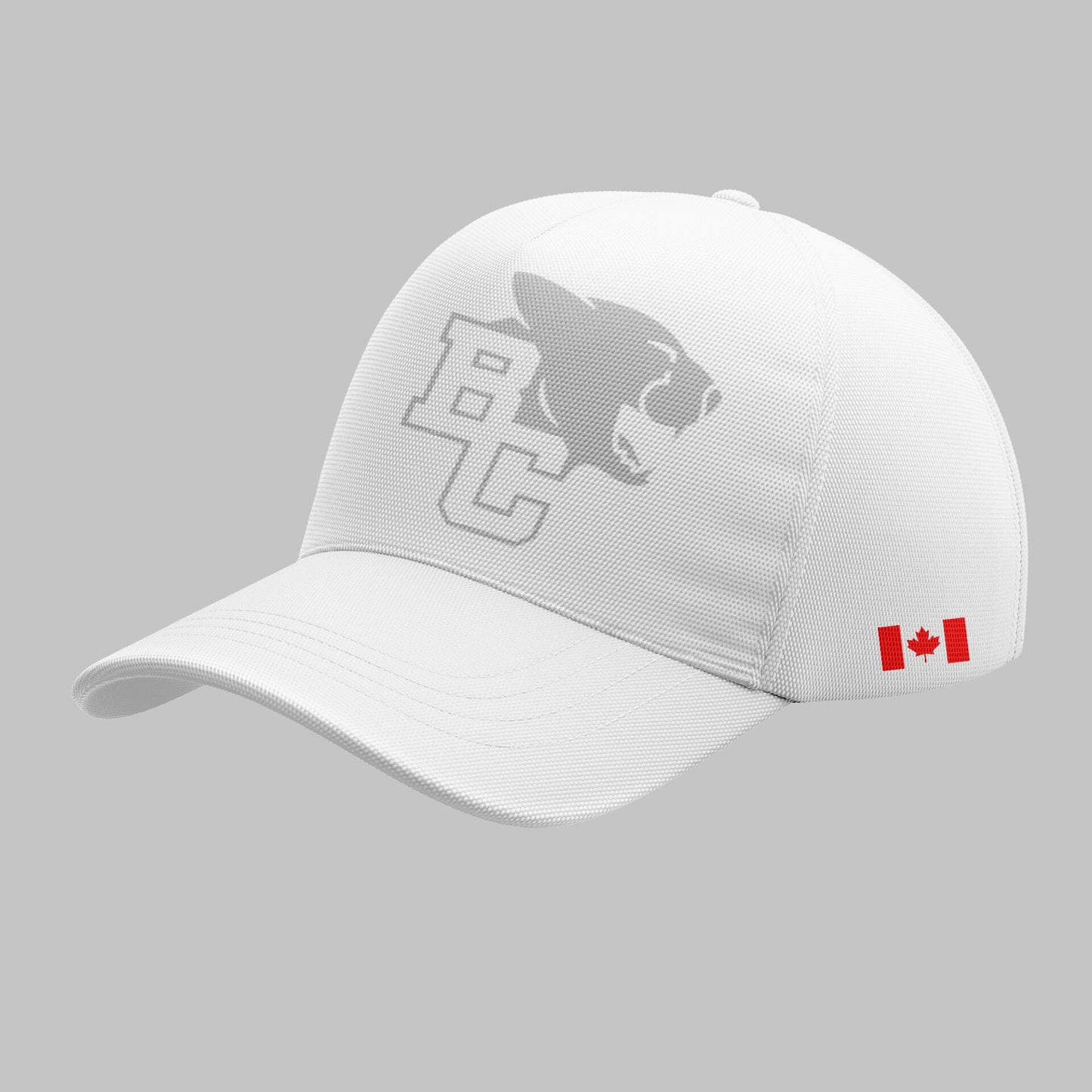 Limited Edition BC Lions “Pacific Frost” Hoodie-ND04062608