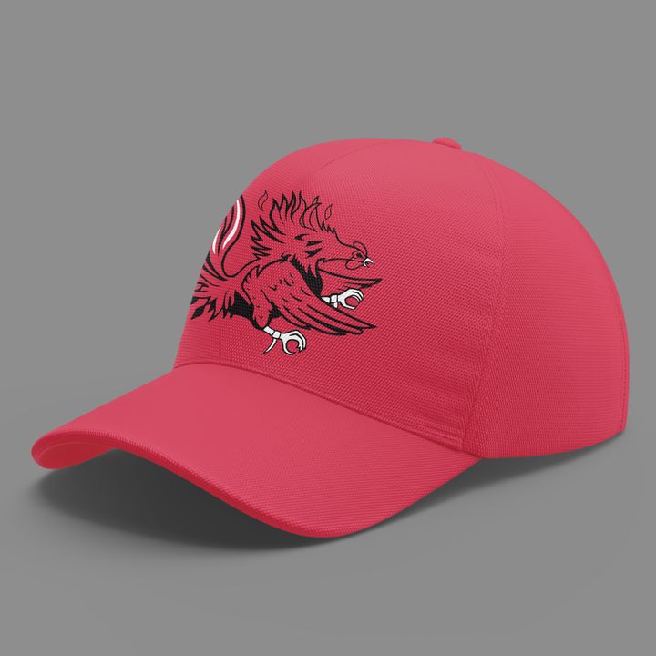 Darius Rucker BORN Gamecocks Sweatshirt