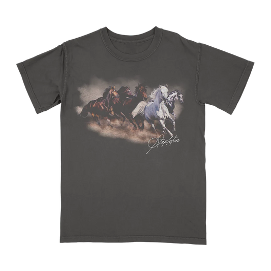 Limited Edition Chris Stapleton “All-American Road Show” Tshirt