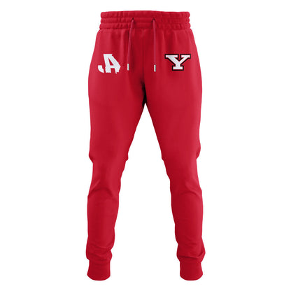 Limited Edition Y-Live Stambaugh Stadium Stadium Hoodie