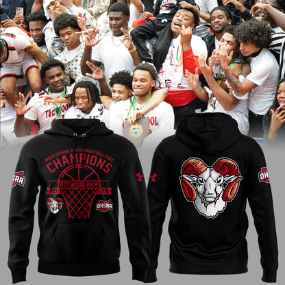 Limited Edition 2026 OHSAA Boys Basketball D3 State Champions Hoodie
